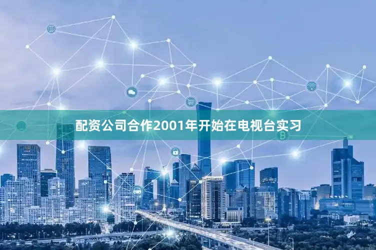 配资公司合作2001年开始在电视台实习