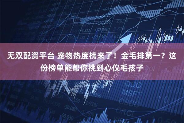 无双配资平台 宠物热度榜来了！金毛排第一？这份榜单能帮你挑到心仪毛孩子