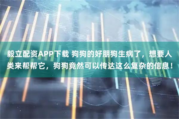 毅立配资APP下载 狗狗的好朋狗生病了，想要人类来帮帮它，狗狗竟然可以传达这么复杂的信息！