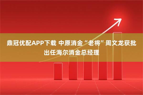 鼎冠优配APP下载 中原消金“老将”周文龙获批出任海尔消金总经理