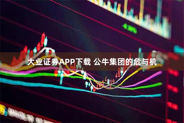 大业证券APP下载 公牛集团的危与机